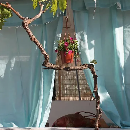 Apartamento Kimera *