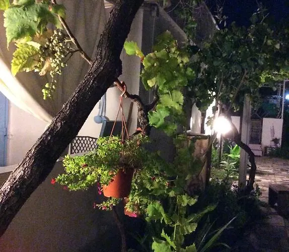 Kimera ヴィエステ